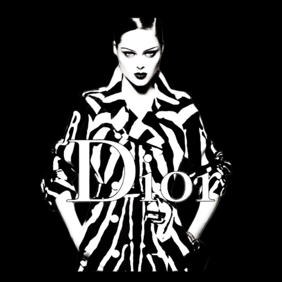 Christian Dior Soft Babe Calf Hair Zebra Animal Vintage JazzClub Collection Bag - Picture 3 of 16